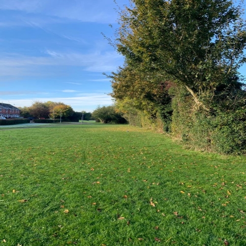 Belmont Green